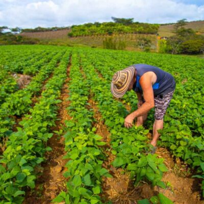reciba incentivos para sus proyectos y emprendimientos