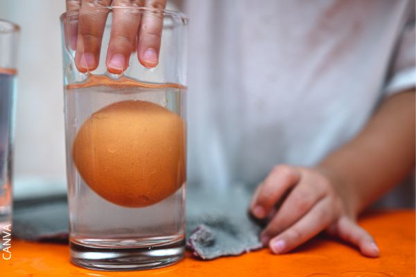 Foto de huevo en vaso de agua.