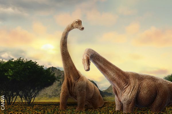 Foto de dinosaurios grandes.
