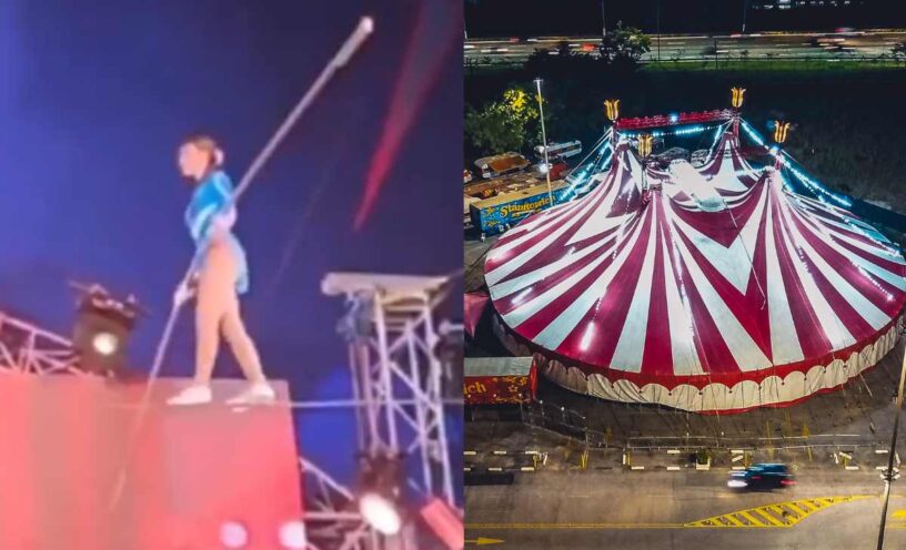 trapecista de los hermanos gasca sufrió grave caída