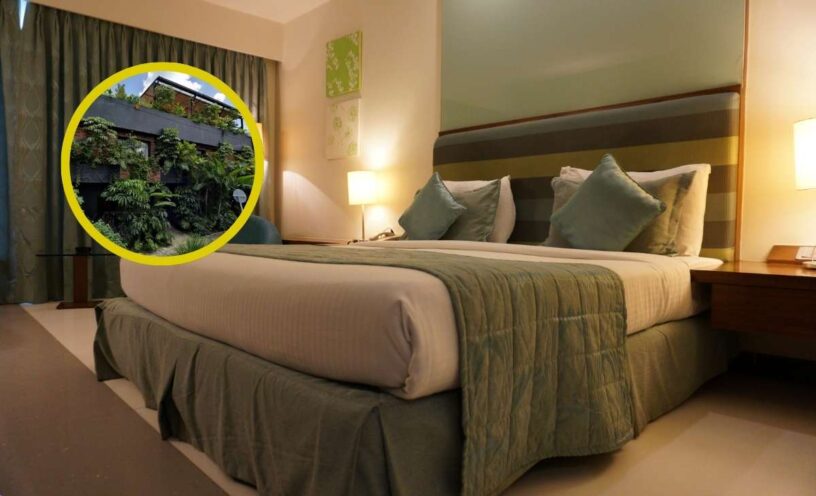 turista-murio-tras-caer-de-la-cama-en-plena-intimidad