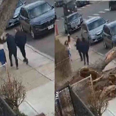 video de personas que casi son aplastadas por un árbol