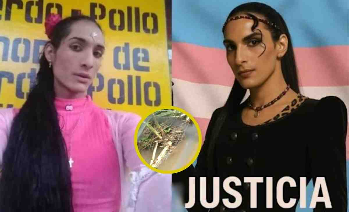 video de seguridad reveló la identidad de los cuatro sospechosos del asesinato de Sara Millerey