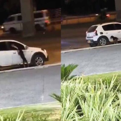 video en el que se ve como abandonan a un perro desde la ventana de un carro