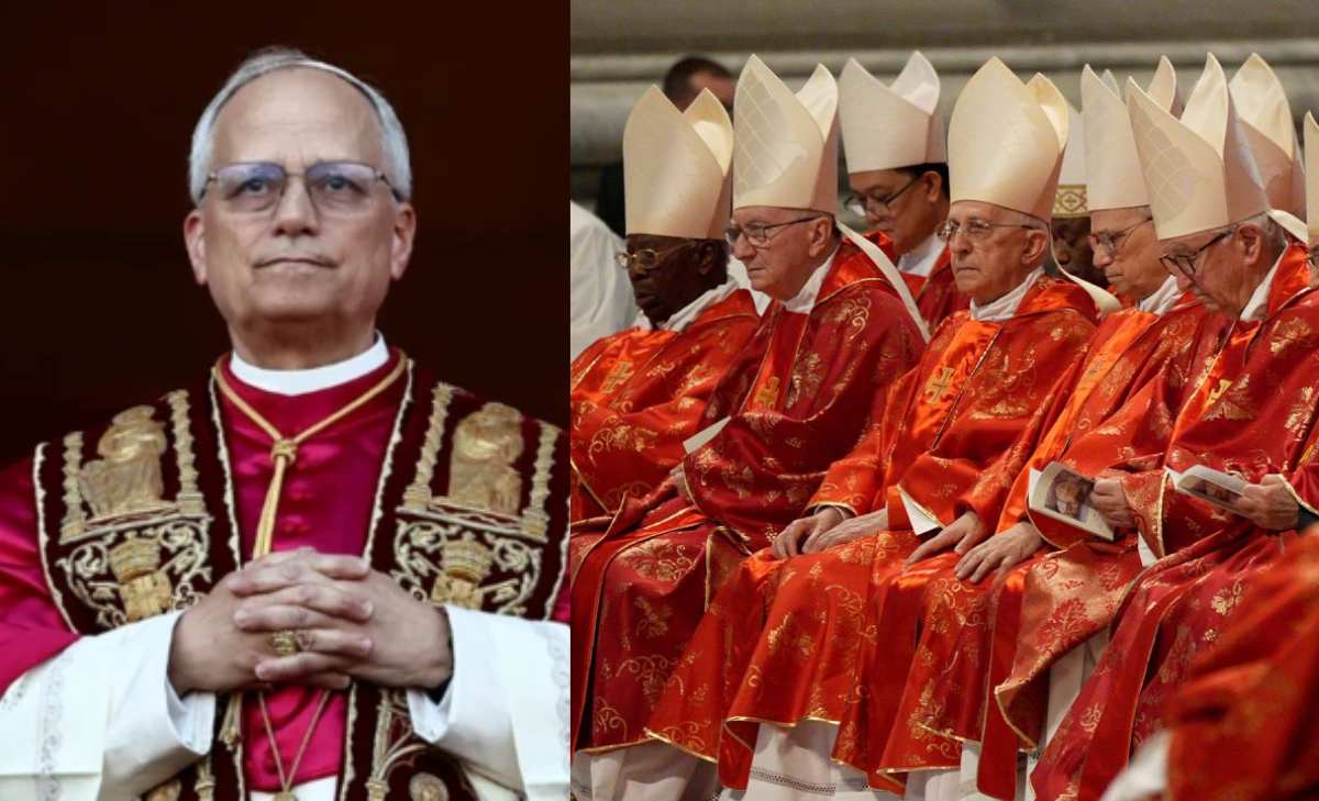 Reacción de cardenales ante el nuevo papa