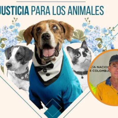 Captura de hombre en Bucaramanga por la "Ley Ángel"