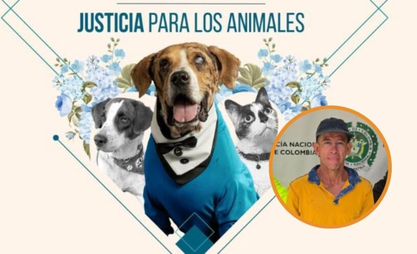 Captura de hombre en Bucaramanga por la "Ley Ángel"