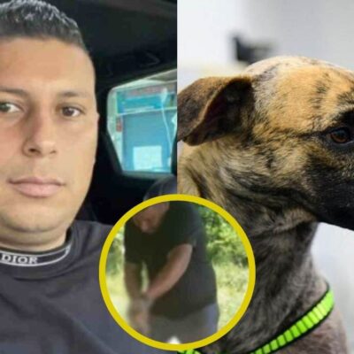 imputan cargos al agresor de Bizcocho