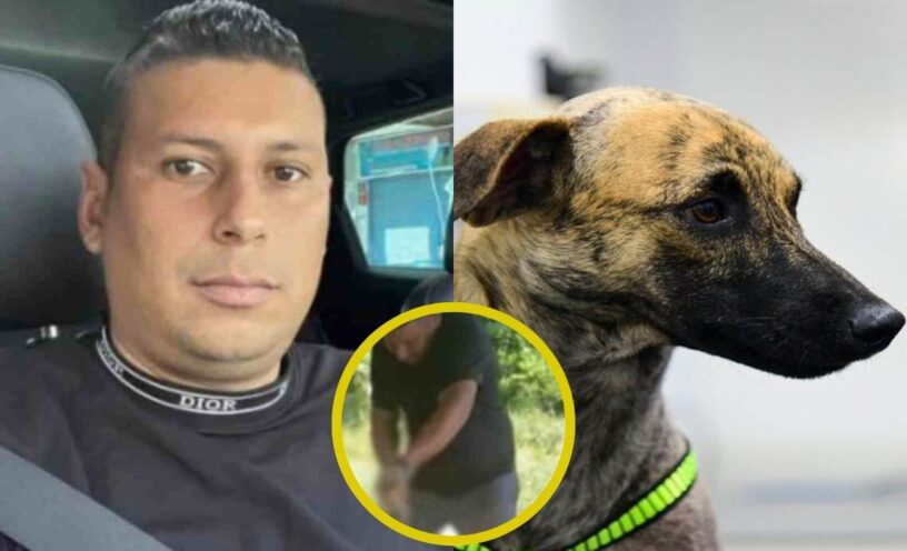 imputan cargos al agresor de Bizcocho