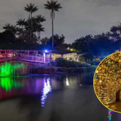Alumbrado del Jardín Botánico 2025 ya sacó fechas oficiales