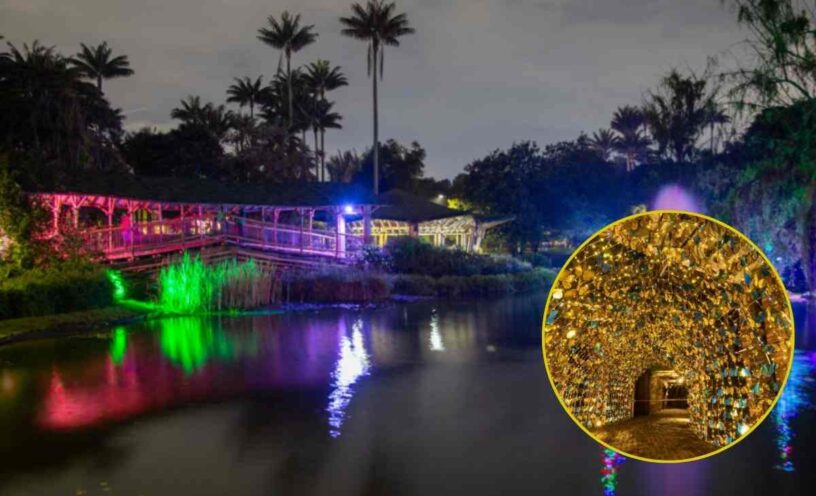 Alumbrado del Jardín Botánico 2025 ya sacó fechas oficiales