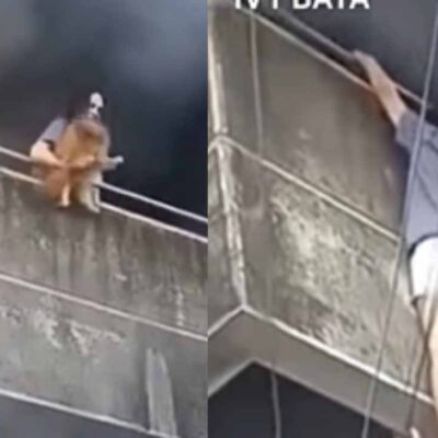 Mujer arriesgó su vida por salvar a sus dos perros