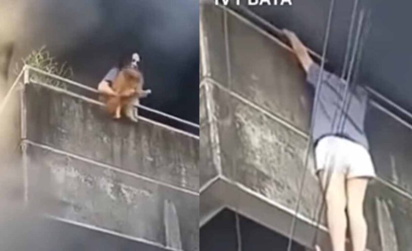 Mujer arriesgó su vida por salvar a sus dos perros