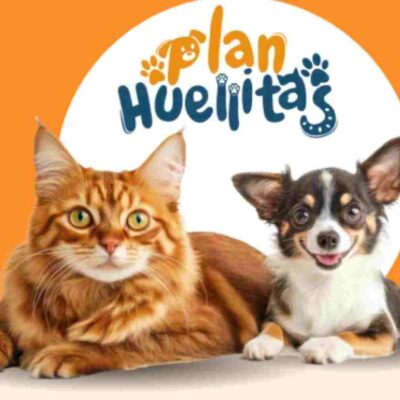 Asi funciona el Plan Huellitas