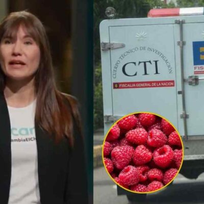 cómo el talio habría llegado a las frambuesas