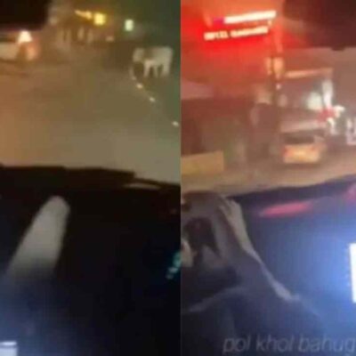 grupo de jóvenes sufre un grave accidente al intentar esquivar una vaca en la carretera
