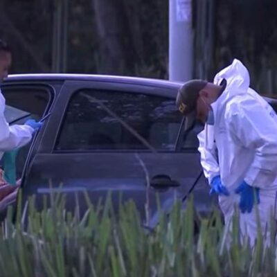 razón del accidente del jardín botánico