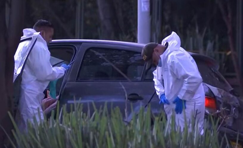 razón del accidente del jardín botánico