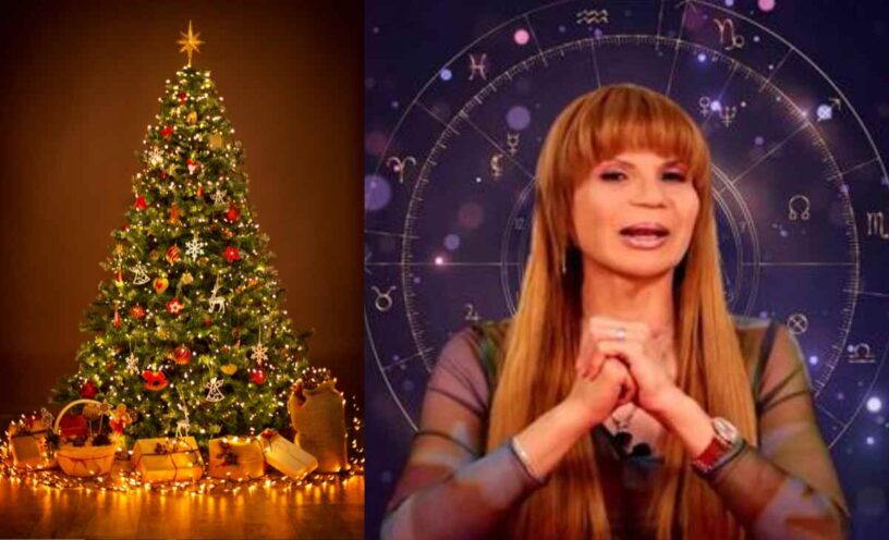 El ritual de Mhoni Vidente con el árbol de Navidad para atraer amor dinero y salud en 2026