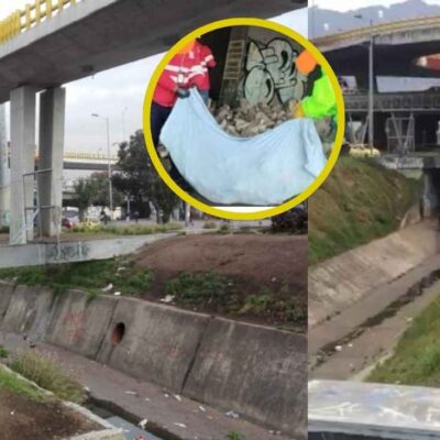 ¿Qué dijo la Alcaldía sobre la fosa común de perros que encontraron en caño de Bogotá?