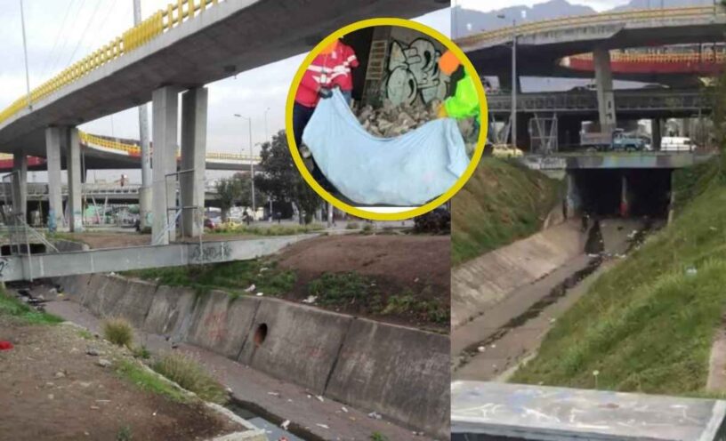 ¿Qué dijo la Alcaldía sobre la fosa común de perros que encontraron en caño de Bogotá?