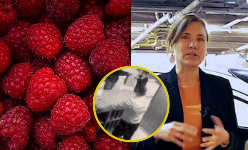 Revelaron video del domiciliario que entregó las frambuesas envenenadas con Talio