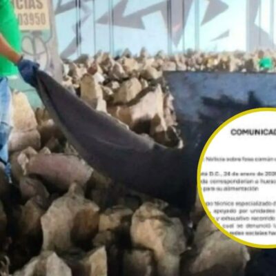 Esta es la verdad detrás de los cadáveres de perros en Bogotá