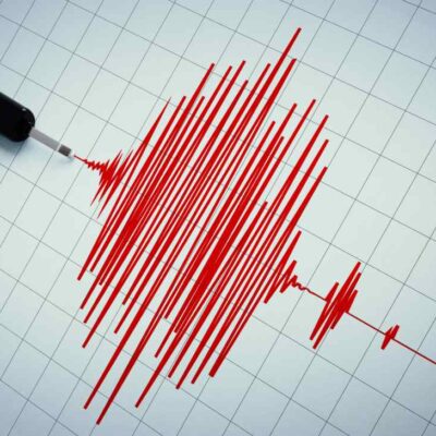 Temblor del 29 de enero de 2026