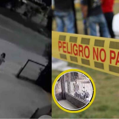 videos delatan a hombre de quitarle la vida a niña de 8 años