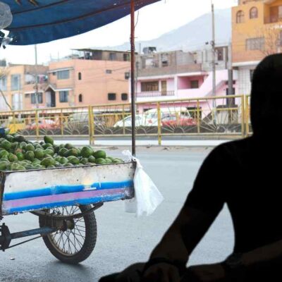 galán de novela ahora trabaja en cultivo de aguacate