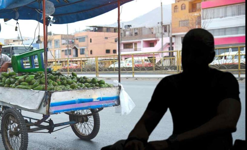 galán de novela ahora trabaja en cultivo de aguacate