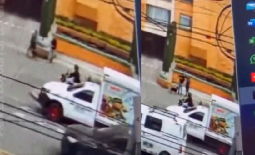 El video del ladrón que se cayó y lo mordieron perros en Bogotá