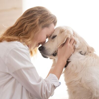 Licencia laboral por fallecimiento de mascotas en Colombia: Lo que dice la ley