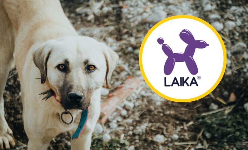 LAIKA lanzó esta campaña solidaria