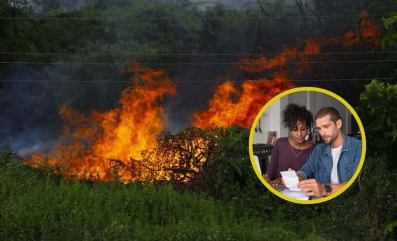 Provocar un incendio forestal en Colombia podría costarle una fortuna