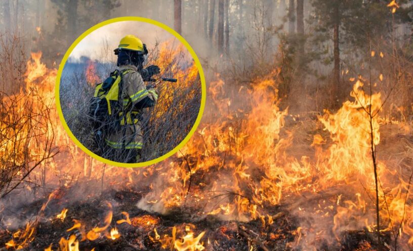 Alerta por incendios forestales en Colombia: ¿en qué regiones continúan las emergencias?